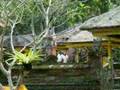 Bali - YouTube