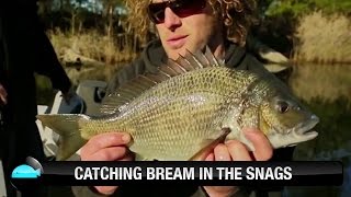 Catching Black Bream From The Snags