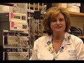 Heparin-binding EGF-like Growth Factor Increases Intestinal Microvascular Blood Flow...