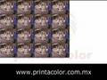 Printa Color: serigraphy, flexography, labels