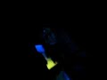 Dansen in Amnesia Club Kreta, Chersonissos Dansen in Amnesia Club Kreta, Chersonissos