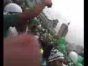 Palmeiras Final