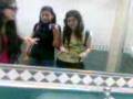videos de nos eqivocamos sjahsjh..
