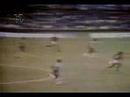 Flamengo Tri / 1979 Flamengo Tri / 1979