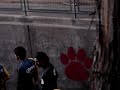 memo ochoa pelanos!! 2