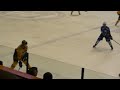 KHL Medvescak - EC Vienna Capitals (2:2)