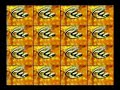 montala remix