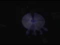 BrightSaber 1.05 Test Run Video