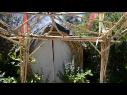 how to transplant river cane