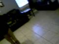 stanky legg!!