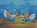 Mudkip's Chocolate rain