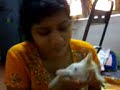 How to make a Brisk cat Sleep?????