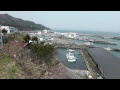 Click here to watch this video 六ヶ所村 採り昆布漁