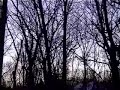 4x full wo track shorter.mov