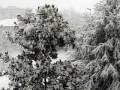 videos de nova milanese - nevicata 06-01-2009