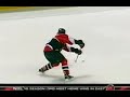 Martin Havlat Segment