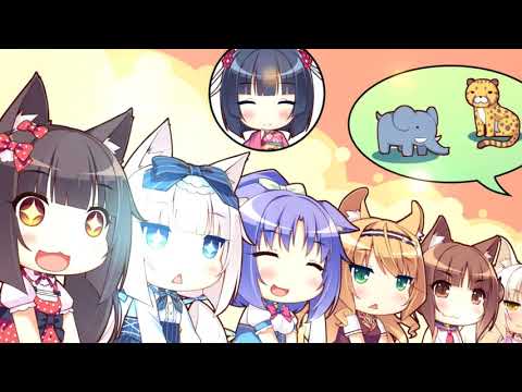 動画