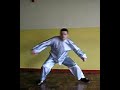 14 Exercícios do Shaolin do Norte - nº 11 14 Exercícios do Shaolin do Norte - nº 11
