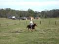 Run Swifty runn!!!!