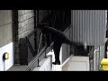 Parkour Tutorial - Turn Vault Parkour Tutorial - Turn Vault