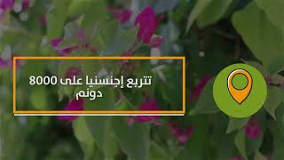مدى اعتماد إجنسنيا على الزراعة مدى اعتماد إجنسنيا على الزراعة