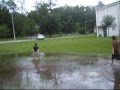 Skimboarding gainesville.