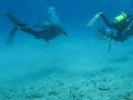 really love the warmer water here, but I am not all against the cold, IF I have the proper suit! Today was a great day, a little windy and bumpy, but that didn't stop our 7 divers! Eamon came out with me to help out with the discover scuba diving we had today, a whole 5 of themJ Awesome. Karvin, Jeff and Luke met up with me early to hit the pool and play in the morning, and later we were joined by Aileen who was finishing up her PADI open water certification. Also, last minute add on, ...
