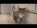 Wet   pussy