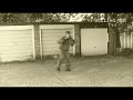 Gullied out tv - sonic dancing