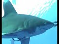 S�dtour von Marsa Alam