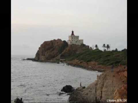 JIJEL WALIM