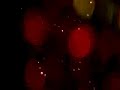  SoftLightes kris moyes indie pop modular microwave