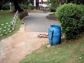 Norbu flipping into a bush