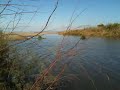 The estuary