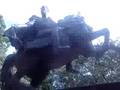 news.5dejulio.sa.et.ve 029