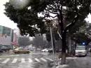 Snow scenes