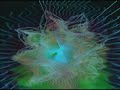 Stuntman - Edgar Froese of Tangerine Dream