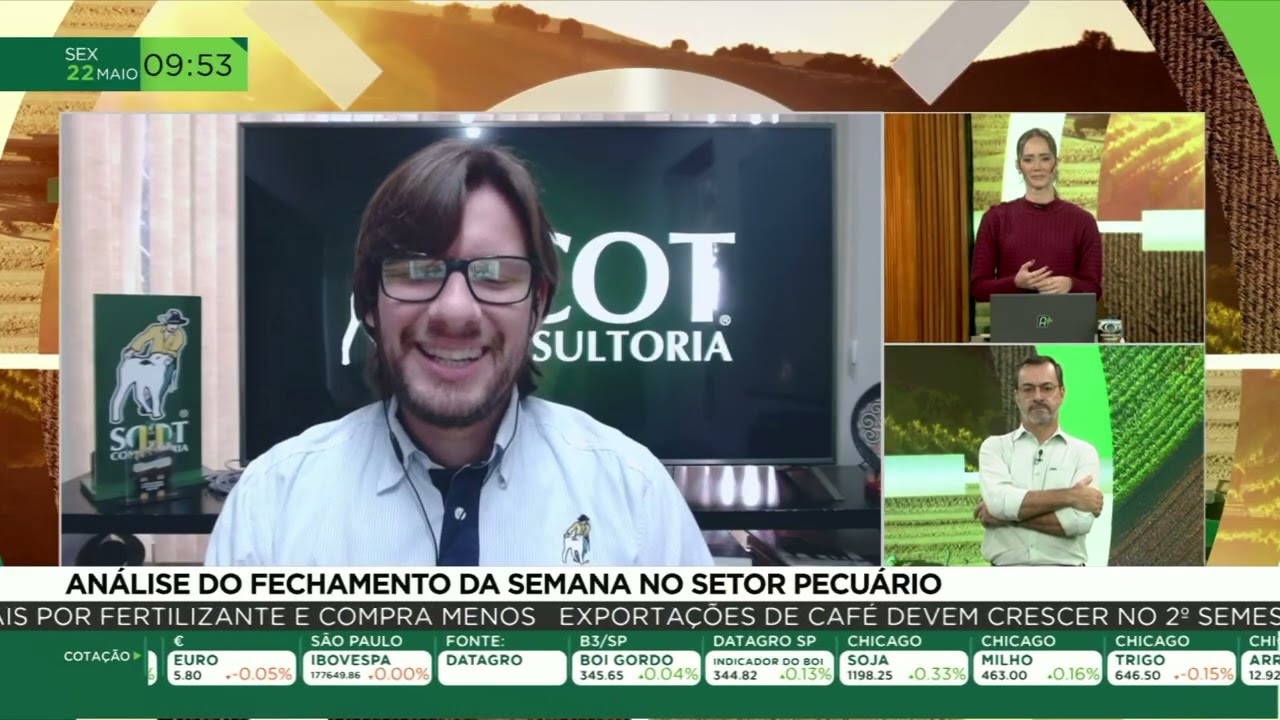 Setor do boi monitora movimentações do mercado