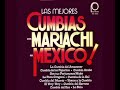 Mariachi Los Vargas de Arturo Mendoza Cumbia Arabe