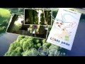 Lokės pėda - commercial