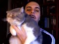 Gato hipotecado