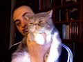 Gato hipotecado