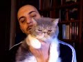 Gato hipotecado