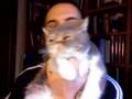 Gato hipotecado