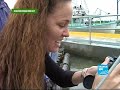 Depuis la marée noire, les crevettes n'ont plus la côte. Le golfe du Mexique est une zone menacée mais le pétrole n'est pas le seul responsable. Depuis des années les digues et les écluses ont mis en péril tout l'équilibre de la région. www.france24.com