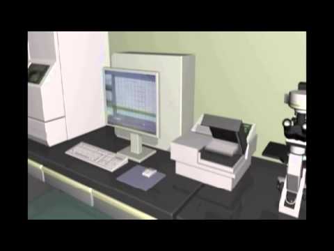 how to isolate bone marrow stem cells