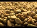 Ver Video