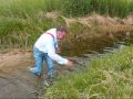 videos de Wet clothes instead picnic