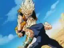 The Z Warrior Phenomenon