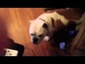 View Video